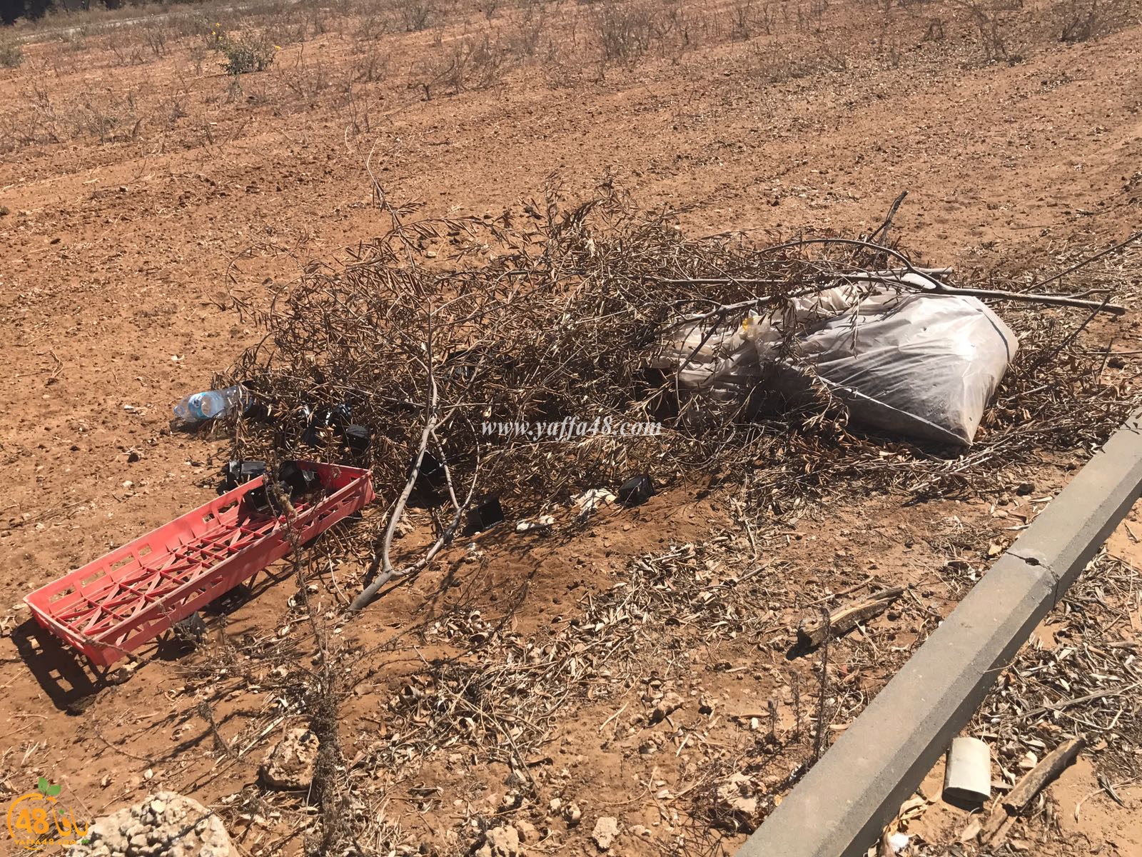 tasoo aswsaj3h (2).jpg